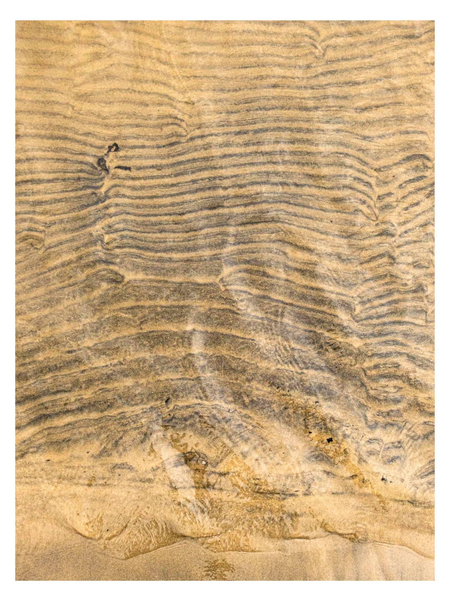 brown sand with current lines under shallow shoreline water.