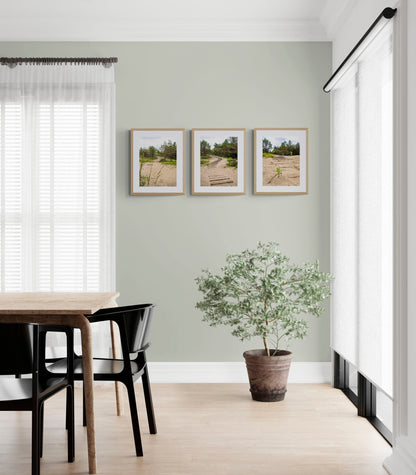 mockup of three hanged path photos above plant in dining room..