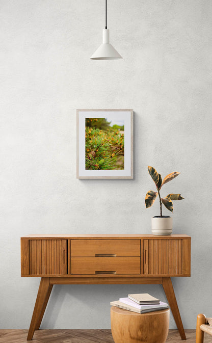 small framed photo of pine branch and pine cones hung above wooden console table.