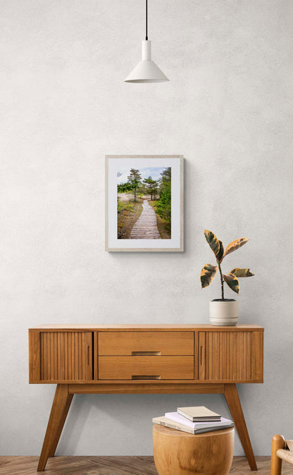 mockup photo of wooded forest path framed and hanging above wooden console table.