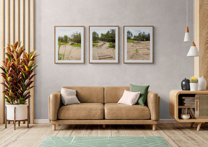 mockup of three hanged path photos above leather couch in living room.