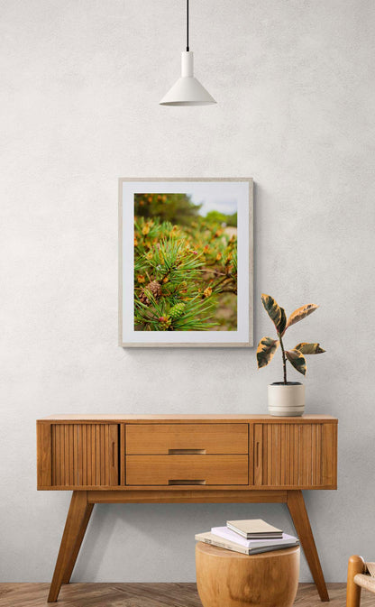 small framed photo of pine branch and pine cones hung above wooden console table.