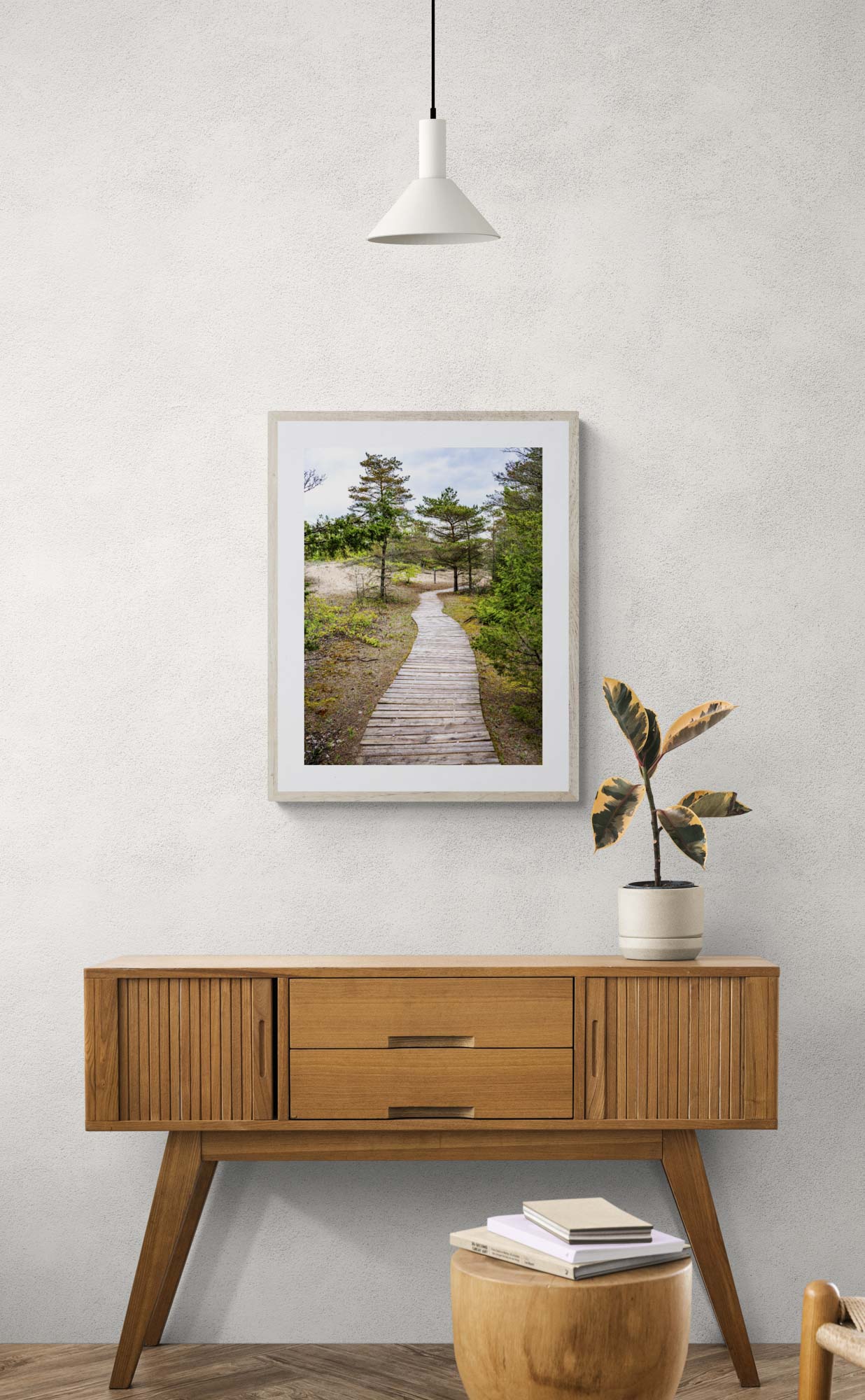 photo of wooden trail in forest framed and hanging above wooden console table.