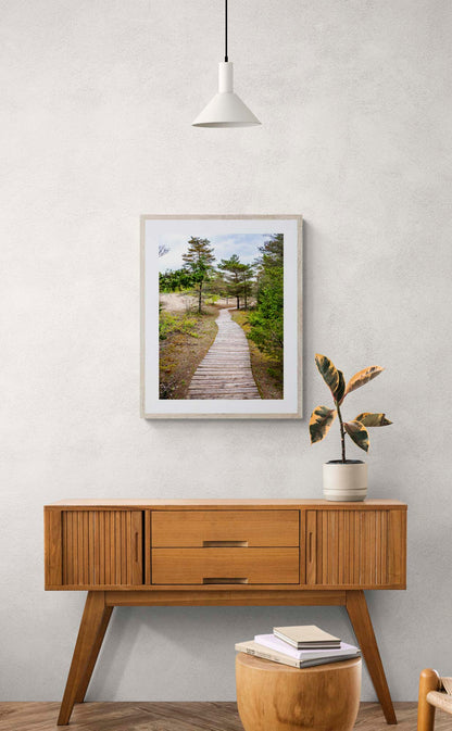 photo of wooden trail in forest framed and hanging above wooden console table.